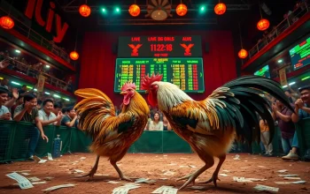 Experience the thrill of đá gà trực tiếp as lively roosters battle in a vibrant arena.